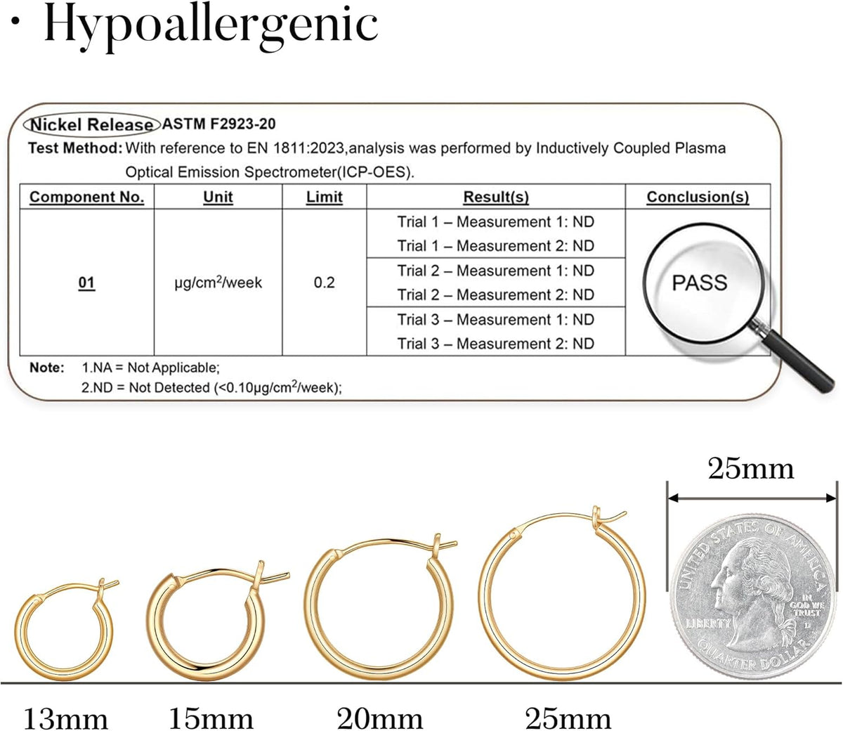 Classic Gold Hoop Earrings